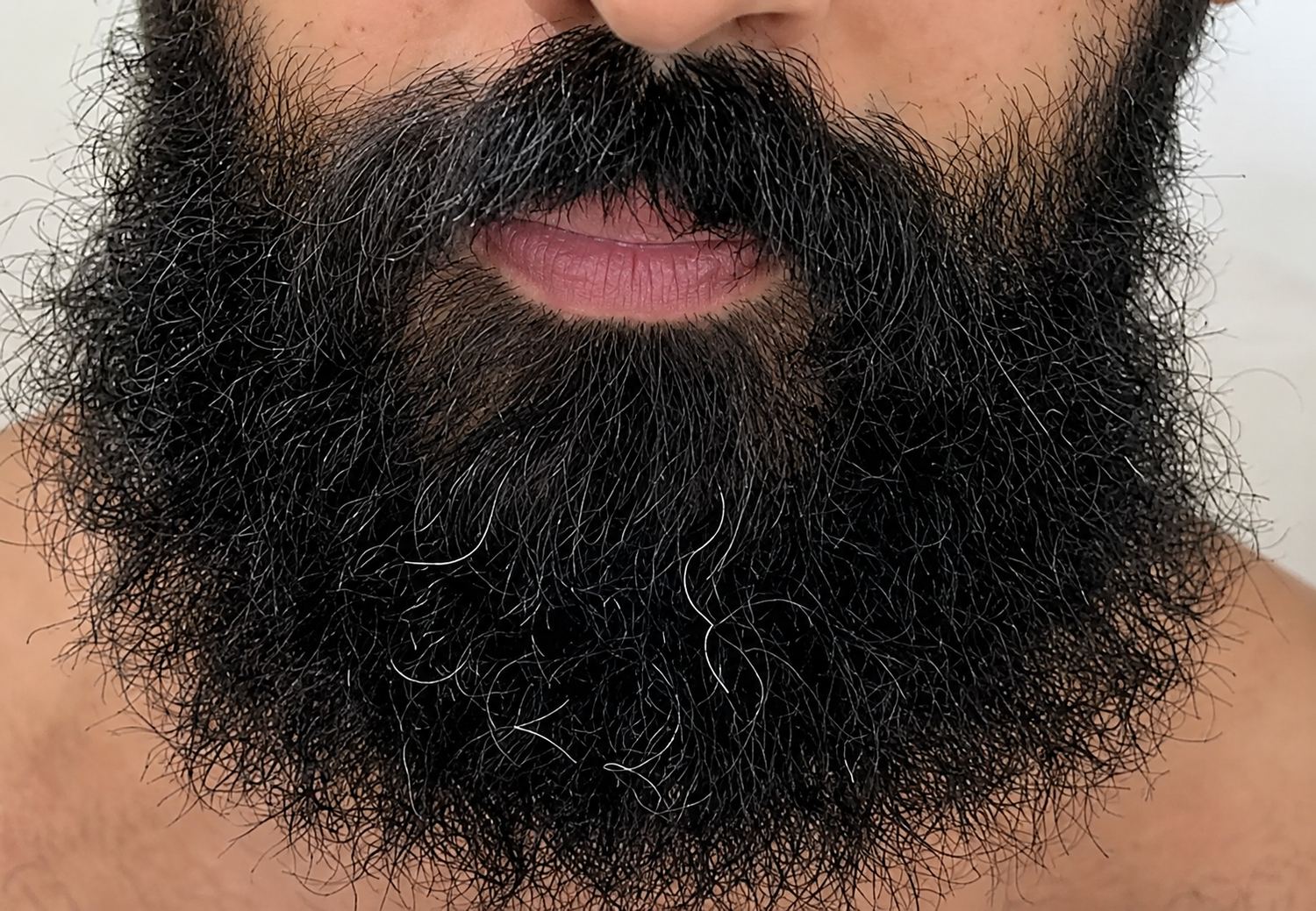 Close detail of dry, coarse beard texture